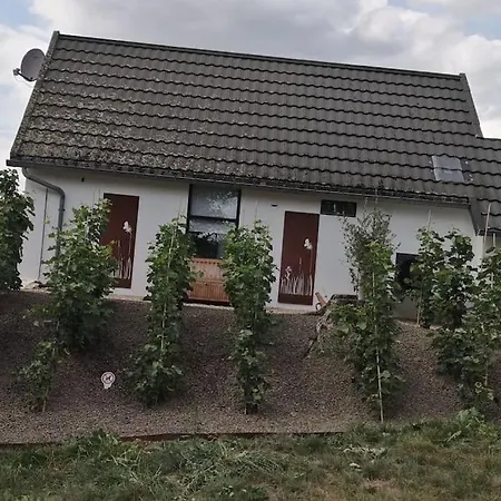 Domaine Xhonneux Parc Des Trois Frontieres 別荘 *