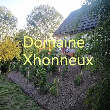 Domaine Xhonneux Parc Des Trois Frontieres 別荘 Plombières