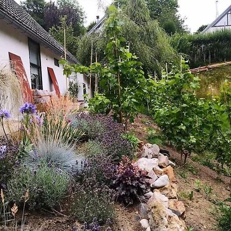 Domaine Xhonneux Parc Des Trois Frontieres