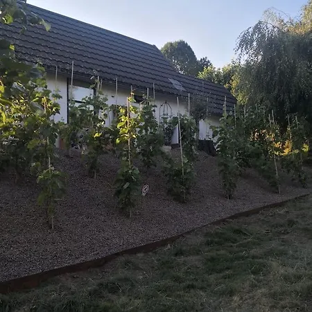 Domaine Xhonneux Parc Des Trois Frontieres 別荘 Plombières